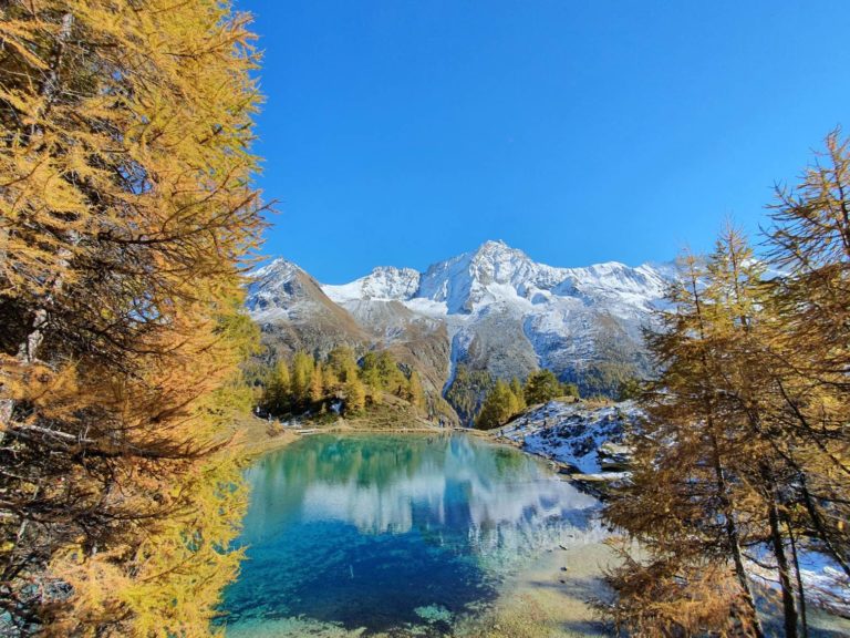 Galerie photo de Swiss Travel Tour (#9)