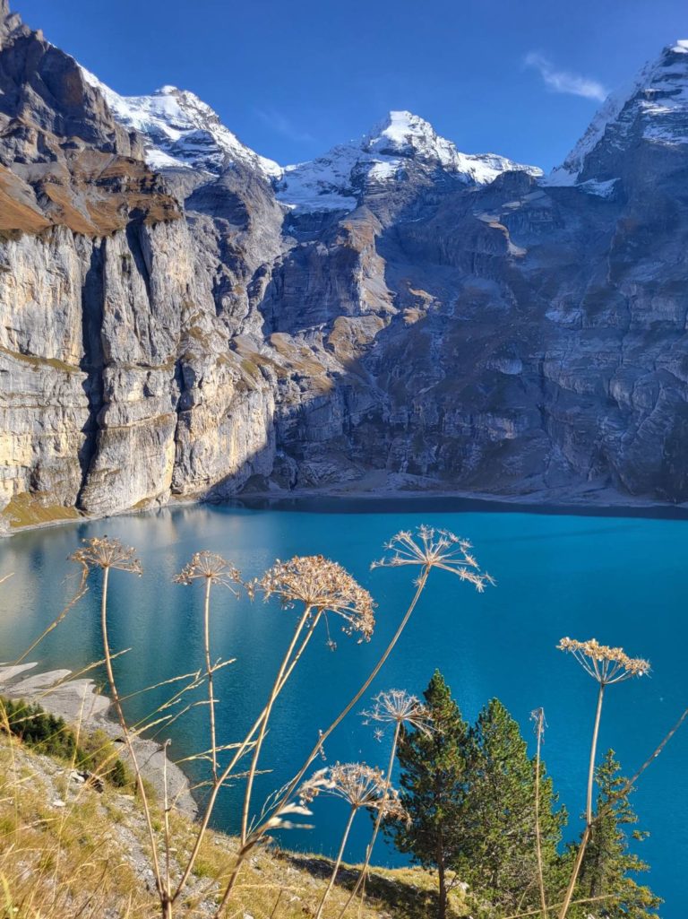 Galerie photo de Swiss Travel Tour (#1)