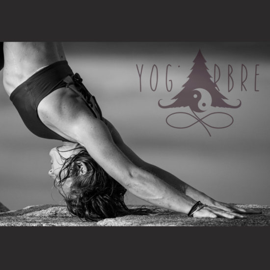 Photo de profil de YogArbre