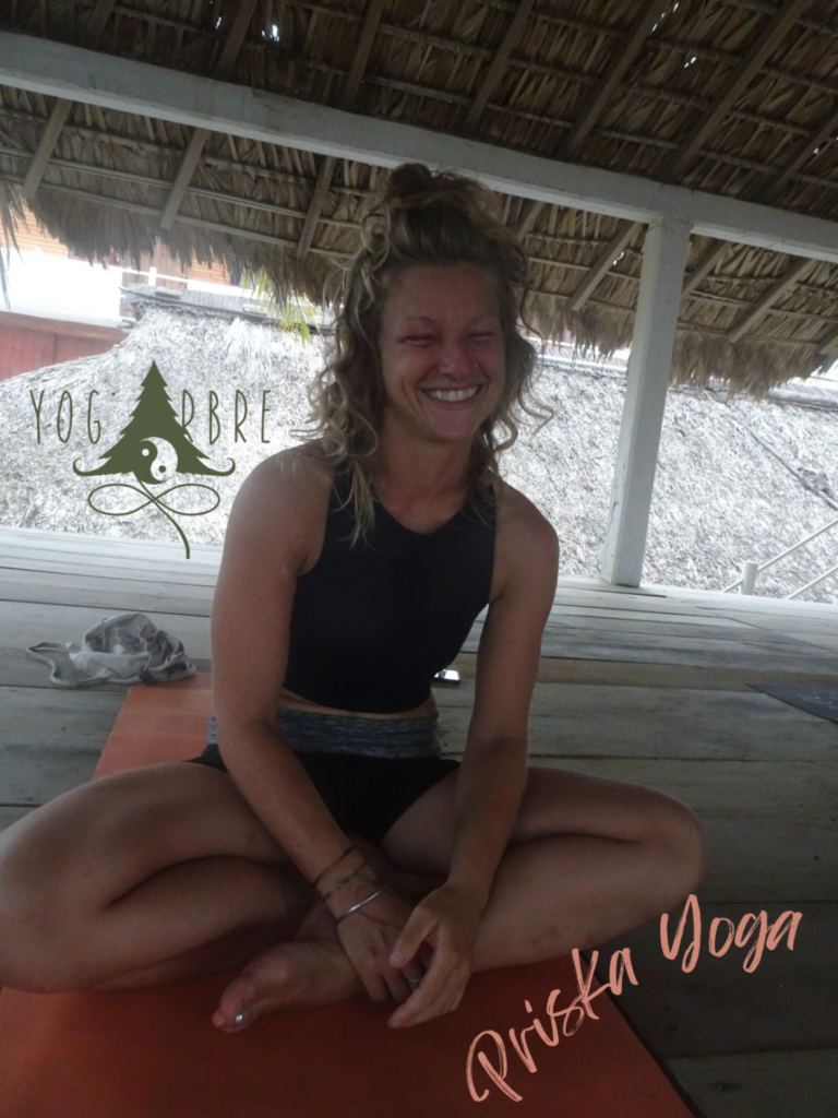 Galerie photo de YogArbre (#0)