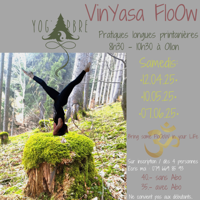 Galerie photo de YogArbre (#1)