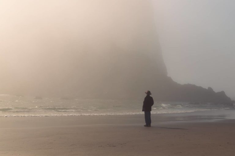 Galerie photo de Danielle Andrews Photographie (#2)