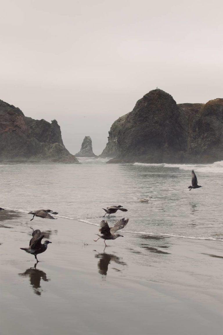 Galerie photo de Danielle Andrews Photographie (#8)