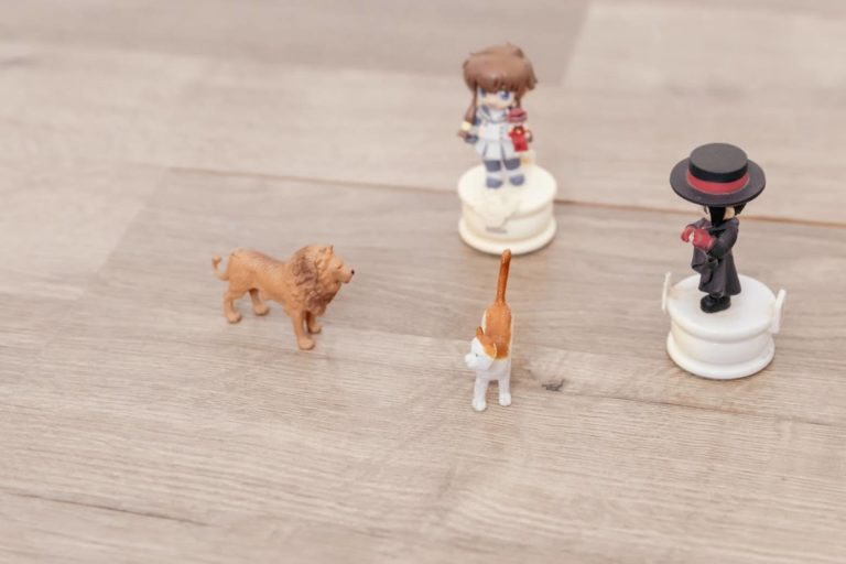 Galerie photo de Phénix en soi (#3)