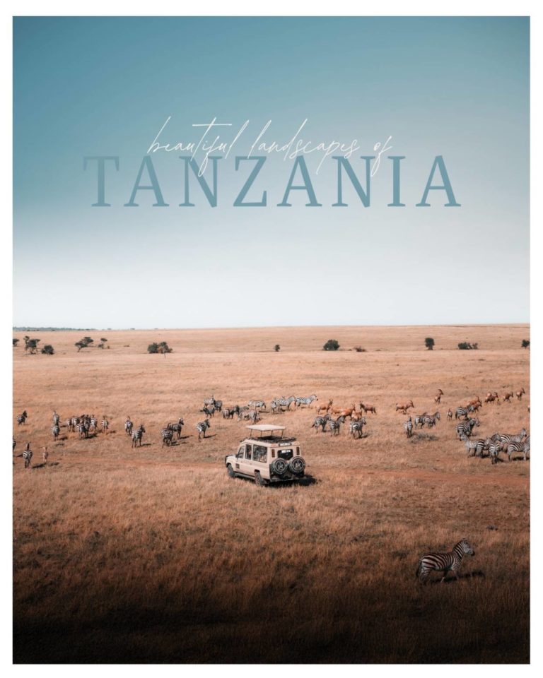 Galerie photo de Kevin Chinelli · Snapshot Media (#8)