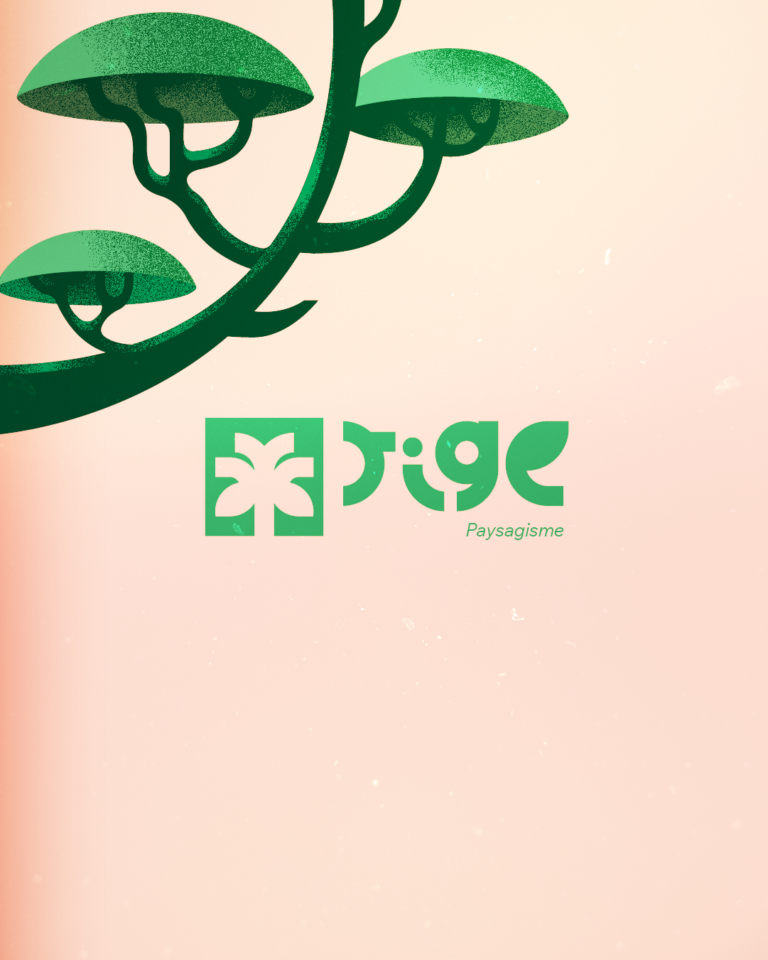 Galerie photo de Margot Steiner - Graphiste et illustratrice (#1)